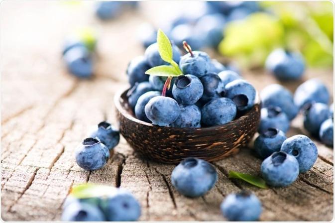 Blue Berries Hotel Ентеббе Екстер'єр фото